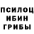 Псилоцибиновые грибы мухоморы NextID
