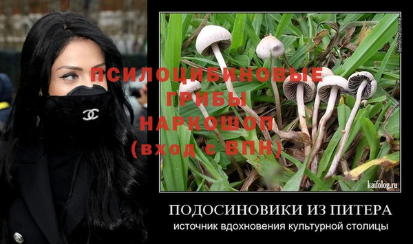 марихуана Белокуриха