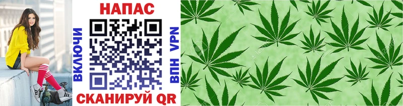Канабис LSD WEED  магазин продажи наркотиков  Каневская 